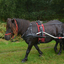 DSC 0975 - Paardenvierdaagse Barchem