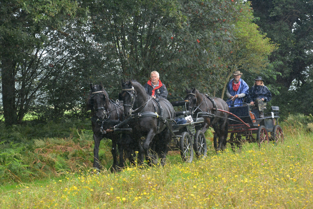 DSC 0978 Paardenvierdaagse Barchem