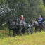 DSC 0978 - Paardenvierdaagse Barchem