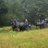 DSC 0979 - Paardenvierdaagse Barchem