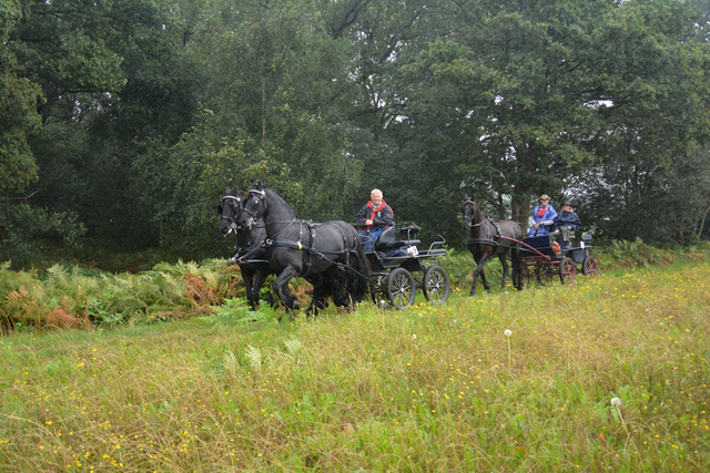 DSC 0979 Paardenvierdaagse Barchem