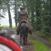 DSC 0988 - Paardenvierdaagse Barchem