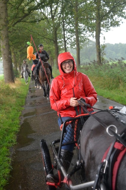 DSC 0996 Paardenvierdaagse Barchem