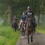 DSC 1003 - Paardenvierdaagse Barchem