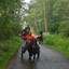 DSC 1011 - Paardenvierdaagse Barchem