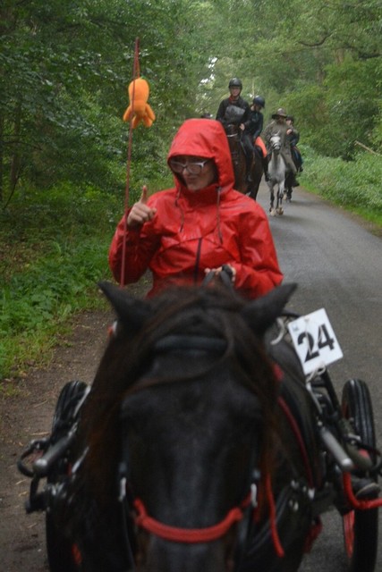 DSC 1014 Paardenvierdaagse Barchem