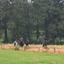 DSC 1038 - Paardenvierdaagse Barchem