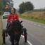 DSC 1047 - Paardenvierdaagse Barchem