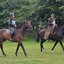 DSC 1053 - Paardenvierdaagse Barchem