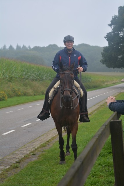 DSC 1060 Paardenvierdaagse Barchem