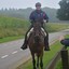 DSC 1060 - Paardenvierdaagse Barchem