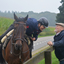 DSC 1061 - Paardenvierdaagse Barchem