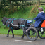 DSC 1066 - Paardenvierdaagse Barchem