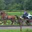 DSC 1070 - Paardenvierdaagse Barchem