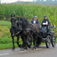 DSC 1074 - Paardenvierdaagse Barchem