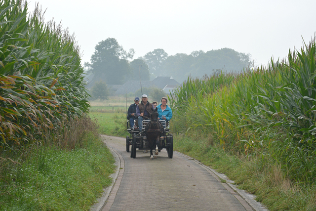 DSC 1086 Paardenvierdaagse Barchem