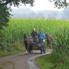 DSC 1090 - Paardenvierdaagse Barchem