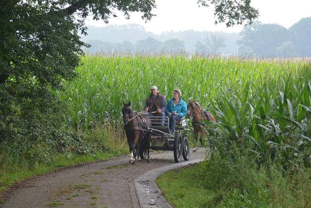 DSC 1090 Paardenvierdaagse Barchem