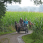 DSC 1090 - Paardenvierdaagse Barchem