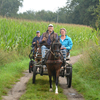 DSC 1101 - Paardenvierdaagse Barchem