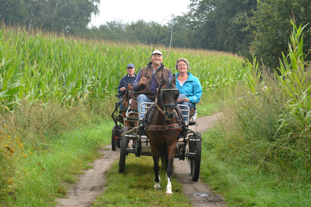 DSC 1101 Paardenvierdaagse Barchem