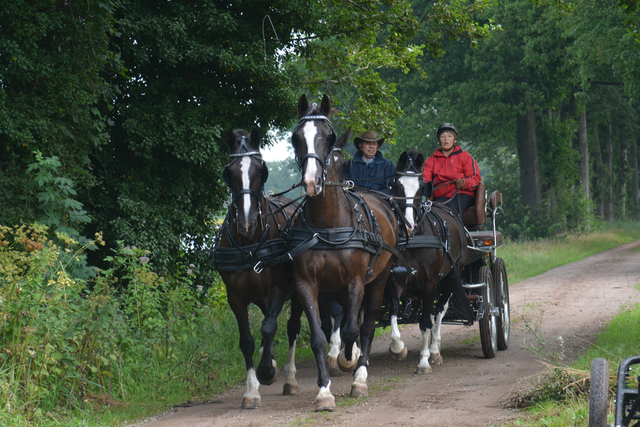 DSC 1106 Paardenvierdaagse Barchem