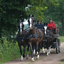 DSC 1106 - Paardenvierdaagse Barchem