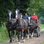 DSC 1109 - Paardenvierdaagse Barchem