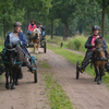 DSC 1115 - Paardenvierdaagse Barchem