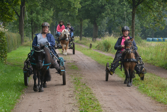 DSC 1115 Paardenvierdaagse Barchem