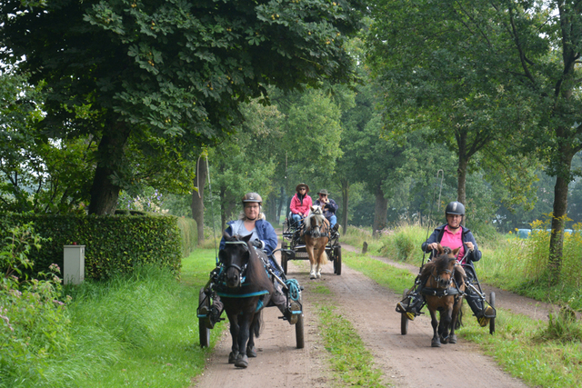 DSC 1118 Paardenvierdaagse Barchem