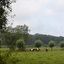 DSC 1122 - Paardenvierdaagse Barchem