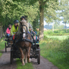 DSC 1148 - Paardenvierdaagse Barchem