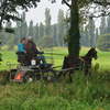 DSC 1155 - Paardenvierdaagse Barchem