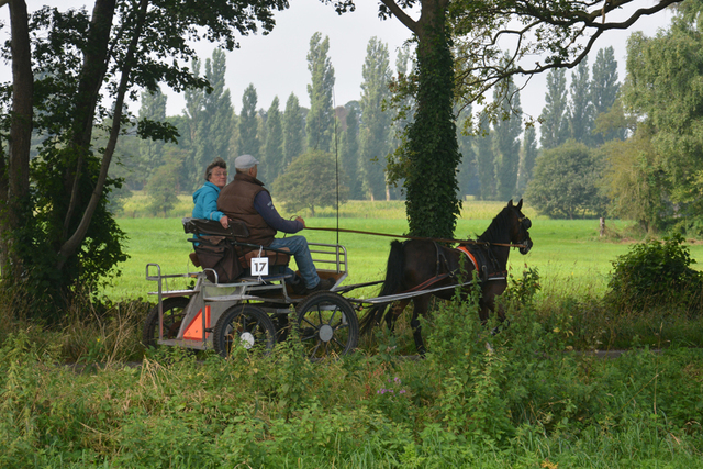 DSC 1155 Paardenvierdaagse Barchem