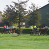 DSC 1157 - Paardenvierdaagse Barchem