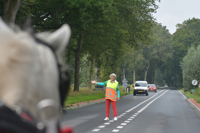 DSC 1170 Paardenvierdaagse Barchem