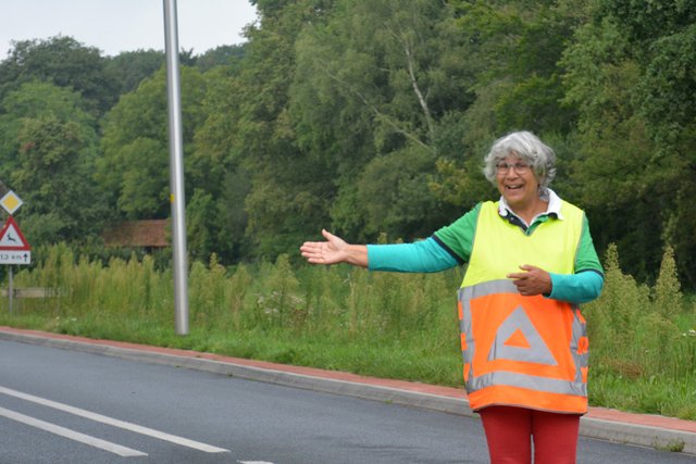 DSC 1171 Paardenvierdaagse Barchem