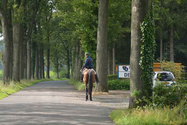 DSC 1174 Paardenvierdaagse Barchem