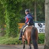 DSC 1176 - Paardenvierdaagse Barchem