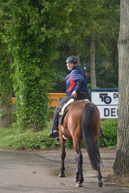 DSC 1176 Paardenvierdaagse Barchem