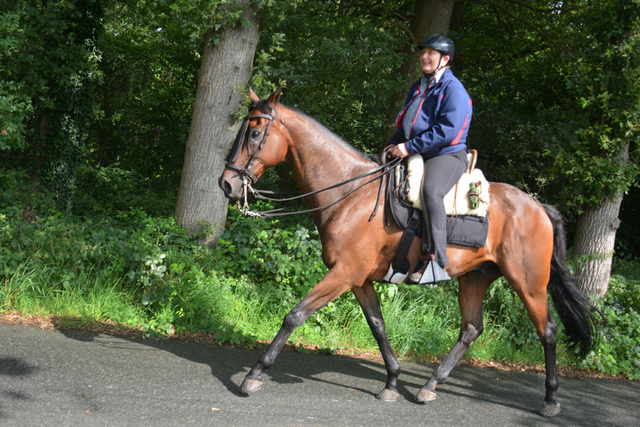 DSC 1180 Paardenvierdaagse Barchem