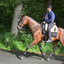 DSC 1180 - Paardenvierdaagse Barchem