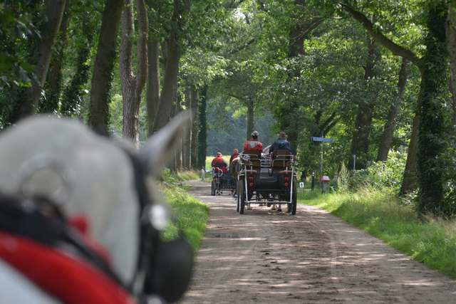 DSC 1190 Paardenvierdaagse Barchem