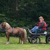 DSC 1195 - Paardenvierdaagse Barchem