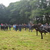 DSC 1199 - Paardenvierdaagse Barchem