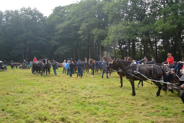 DSC 1199 Paardenvierdaagse Barchem