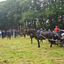 DSC 1202 - Paardenvierdaagse Barchem