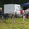 DSC 1204 - Paardenvierdaagse Barchem