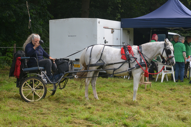 DSC 1204 Paardenvierdaagse Barchem